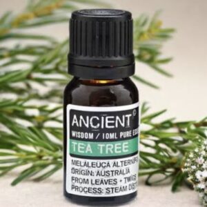 10 ml Tea Tree Essential Oil