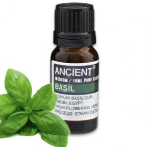 Basil Essential Oil Essential-oils