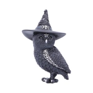 B5239s0 showing spellbinding witchy style