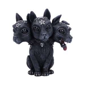 B6017w2 with ritual-ready witchy aesthetic