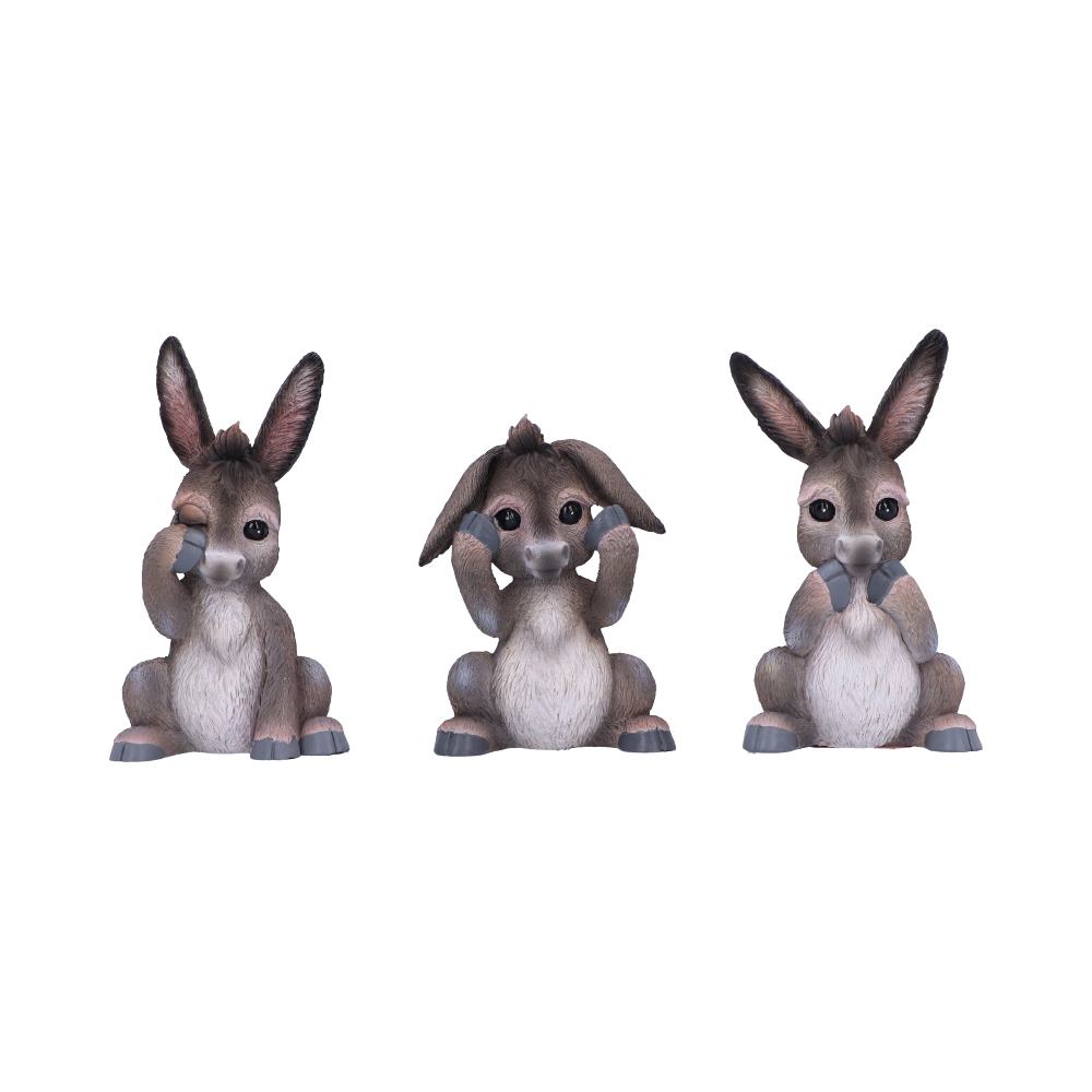 B6350x3 for manifestation tools and spiritual practice