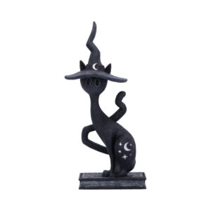 Arcane Enchant 17cm | Decor | Niffty Witchy Supplies UK in Decor style, belladonna symbol fae spring with coven-core energy