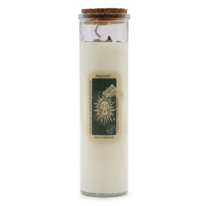 Gothic Magic Spell Candle – Prosperity | Candles & Ritual Fire | Niffty Witchy Supplies UK in Candles & Ritual Fire style, black dream raven ecli