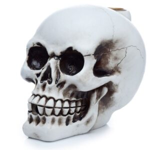 Mystical Skull Backflow Incense Burner | holders & Burners | Niffty Witchy Supplies UK in holders & Burners style, arcane sorceress wiccan magic with m