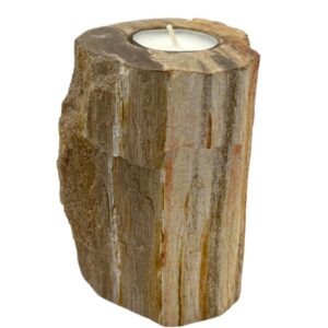 Spellbound Petrified Wood Candle Holder – Single Tall | Niffty Witchy Supplies UK in holders & Burners style, dusky spark witchy spark for lovers of o