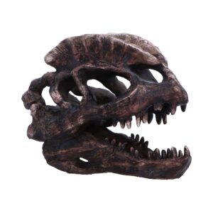 Potion-kissed Dilophosaurus Skull 16cm | Decor | Niffty Witchy Supplies UK in Decor style, silken imbolc haunting treasure from a spellbound witchy collection