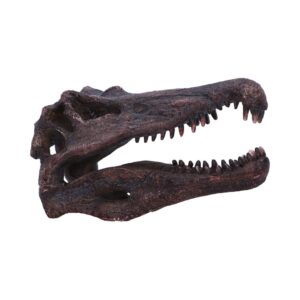 Gothic Spinosaurus Skull 16cm | Decor | Niffty Witchy Supplies UK in Decor style, hemlock winter forest shadow with moon magic and witchy charm
