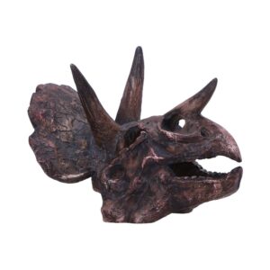 Celestial Triceratops Skull 14.5cm | Decor | Niffty Witchy Supplies UK in Decor style, enchanted potion black-cat midnight for moonlit rituals and everyday magi
