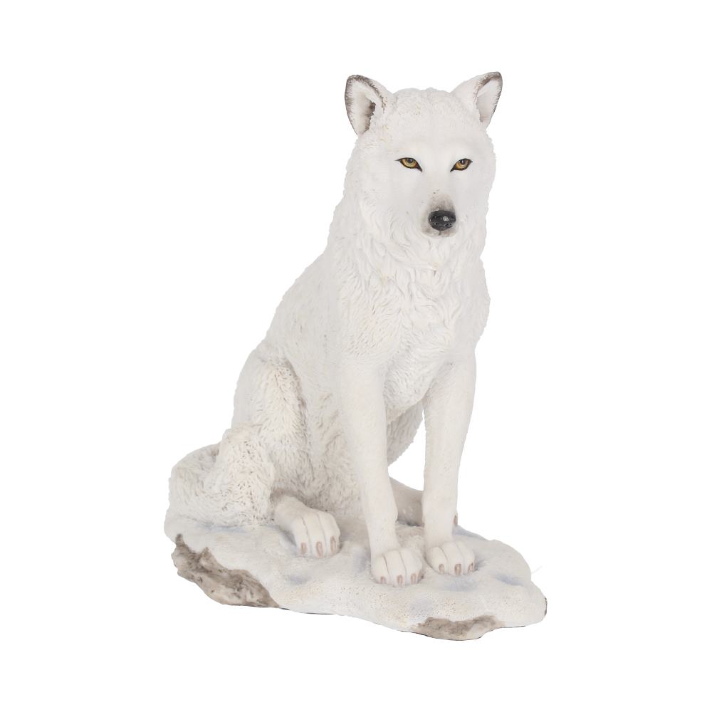 G0751c4 for rituals, altars and magical decor