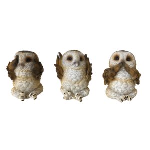 U4462n9 for pagan gifts and spiritual practice
