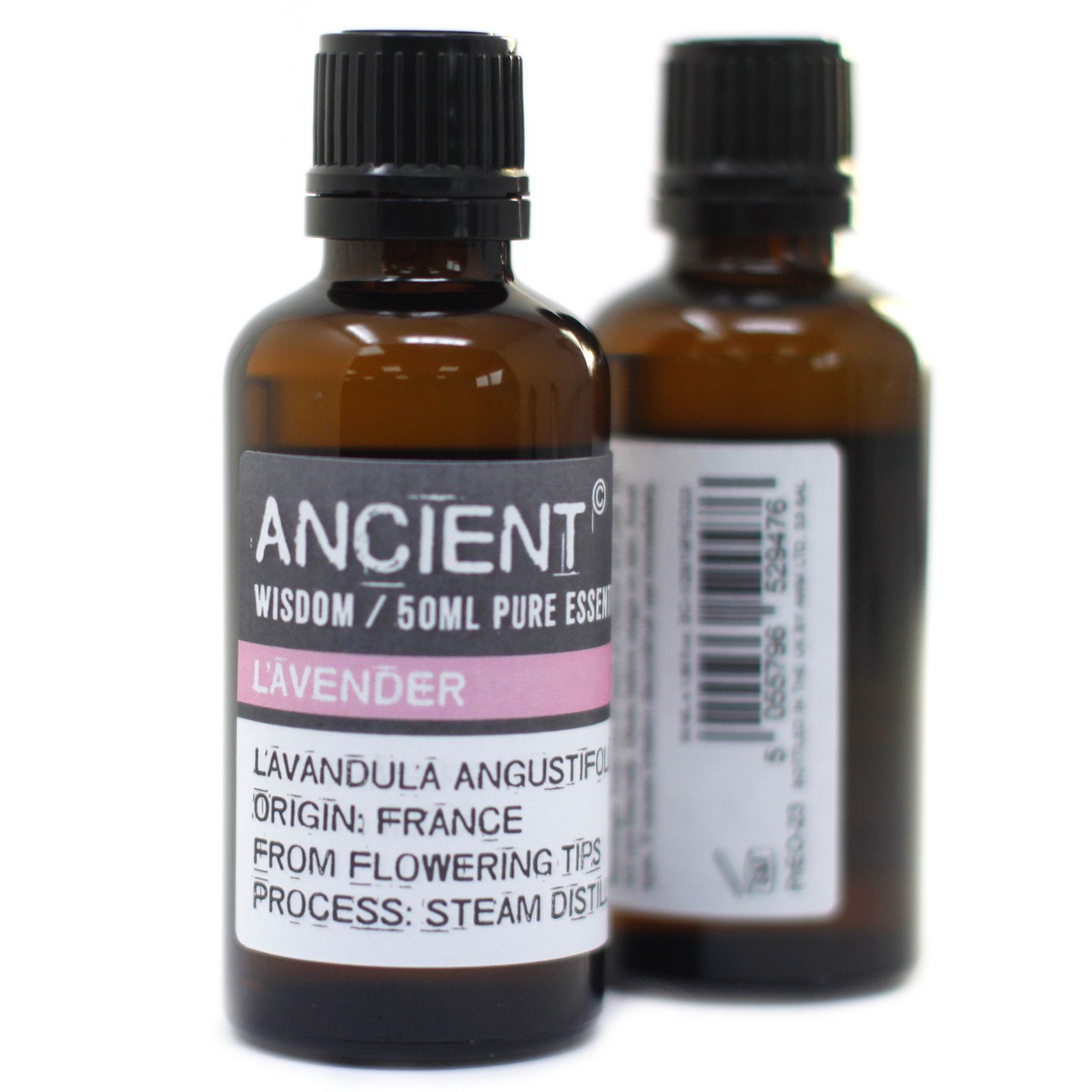 Jasmine Absolute 50ml - Image 2