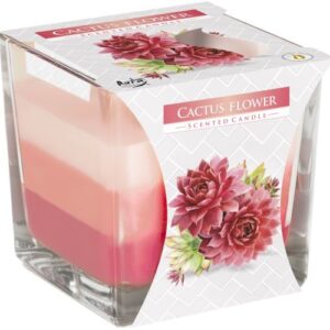 Rainbow Jar Candle - Cactus flower