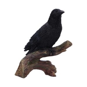 Mystical Ravens Perch 20cm in Decor style, elegant glimmer lunar spectral with moon magic and witchy charm