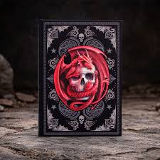 Skull Embrace Journal (AS) 17cm