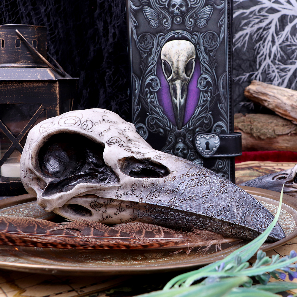 Edgar's Raven Skull 21cm | Altar & Ritual Tools | Niffty Witchy Supplies UK