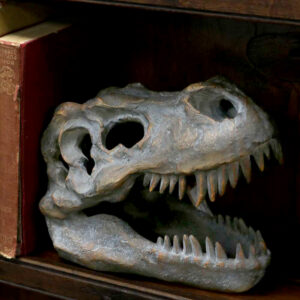 Tyrannosaurus Rex Skull Freestanding 16cm | Decor | Niffty Witchy Supplies UK