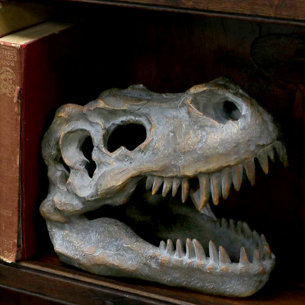 Tyrannosaurus Rex Skull Freestanding 16cm | Decor | Niffty Witchy Supplies UK