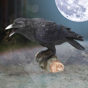 Raven's Call 20cm | Decor | Niffty Witchy Supplies UK