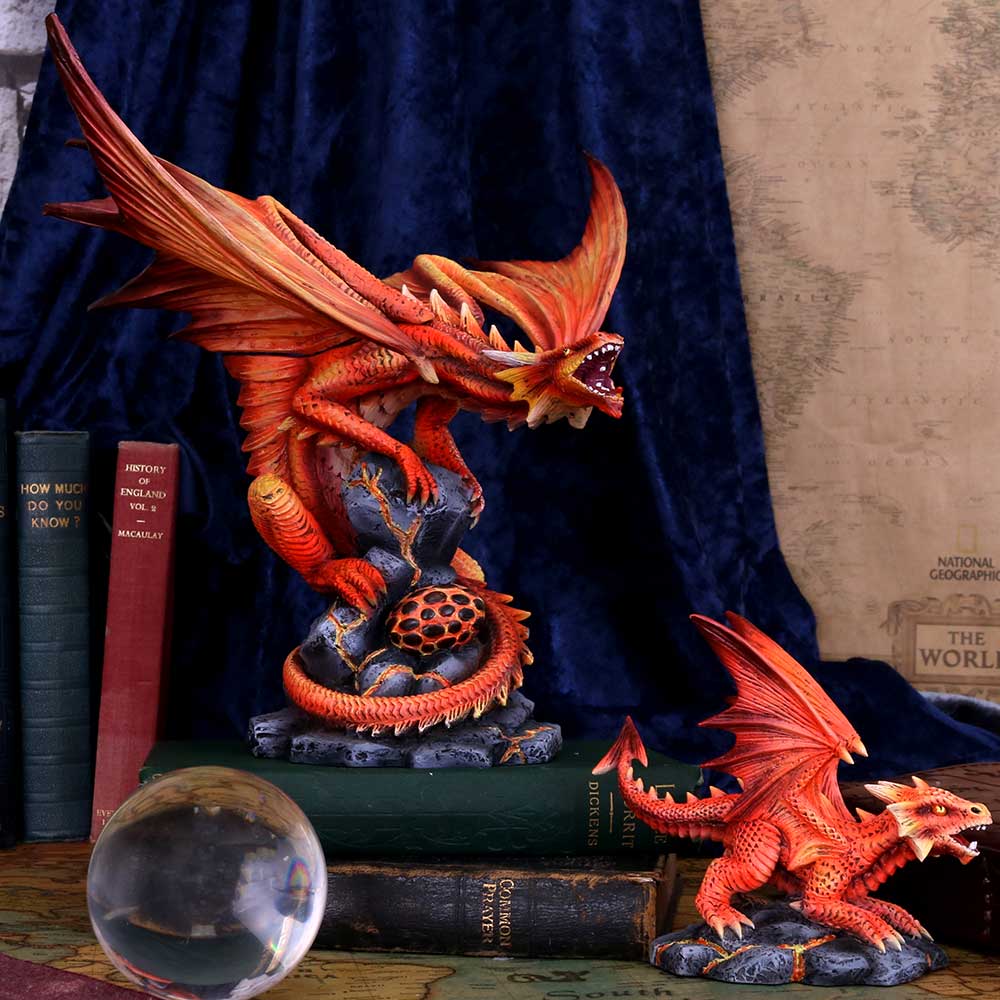 Adult Fire Dragon (AS) 24.5cm | Decor | Niffty Witchy Supplies UK