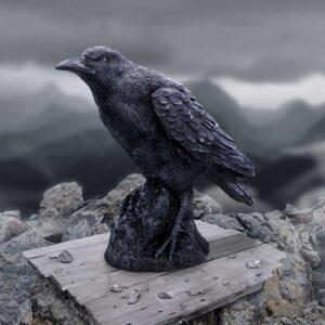 Raven Messenger 25cm | Decor | Niffty Witchy Supplies UK
