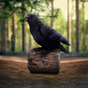 Ravens Cry 18cm | Decor | Niffty Witchy Supplies UK