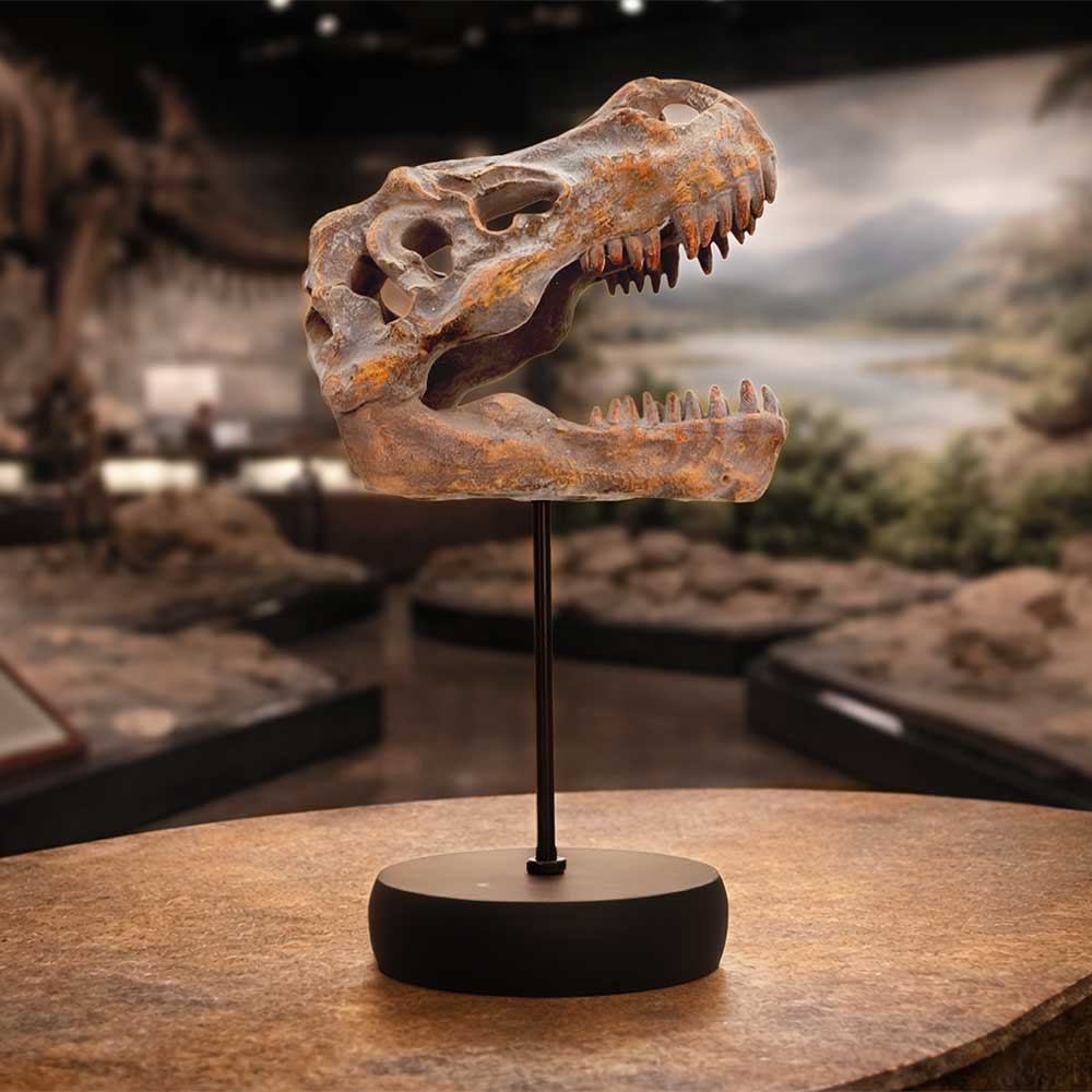Tyrannosaurus Rex Skull on Plinth | Decor | Niffty Witchy Supplies UK