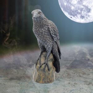 Ravens Rest 16cm | Decor | Niffty Witchy Supplies UK