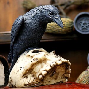 Ravens Remains 13cm | Niffty Witchy Supplies UK