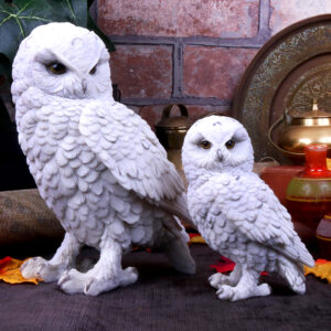 Snowy Watch Large 20cm | Decor | Niffty Witchy Supplies UK