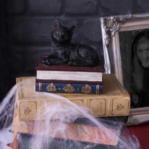 Salems Spells 11.7cm | Decor | Niffty Witchy Supplies UK