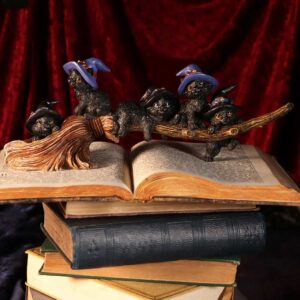 Purrfect Broomstick 27.5cm | Decor | Niffty Witchy Supplies UK