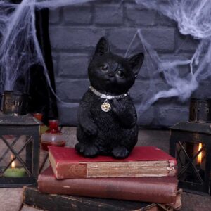 Cattitude 16.5cm | Decor | Niffty Witchy Supplies UK