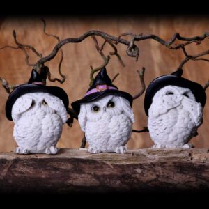 Three Wise Feathered Familiars 9cm | Decor | Niffty Witchy Supplies UK