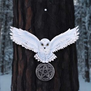 Owl Talisman 20.5cm | Decor | Niffty Witchy Supplies UK