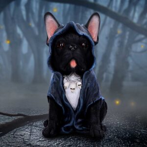 Reaper's Best Friend 27.5cm | Decor | Niffty Witchy Supplies UK