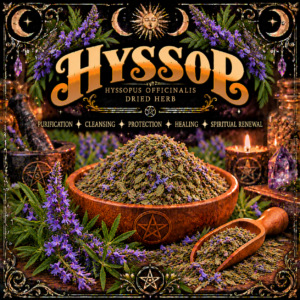 Illustration labelled Hyssop, showing dried leaves in a wooden bowl with purple flower spikes