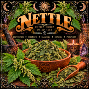 Illustration labelled Nettle, showing dried leaves in a wooden bowl with green nettle stems