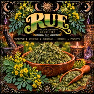 Illustration labelled Rue, showing dried leaves in a wooden bowl with yellow flowers