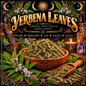 Illustration labelled Verbena Leaves, showing dried leaves in a wooden bowl with pale purple flowers