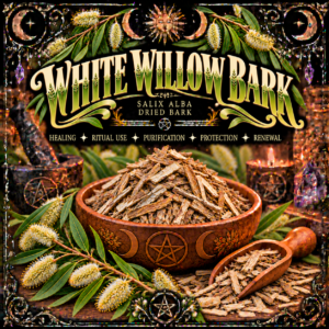 Illustration of white willow bark in a wooden bowl with willow leaves and ornate gold lettering.