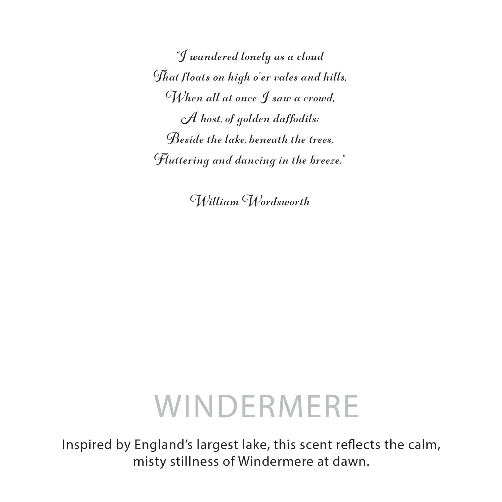 Agnes + Cat Botanical Soy Wax Candle - Windermere - Image 6