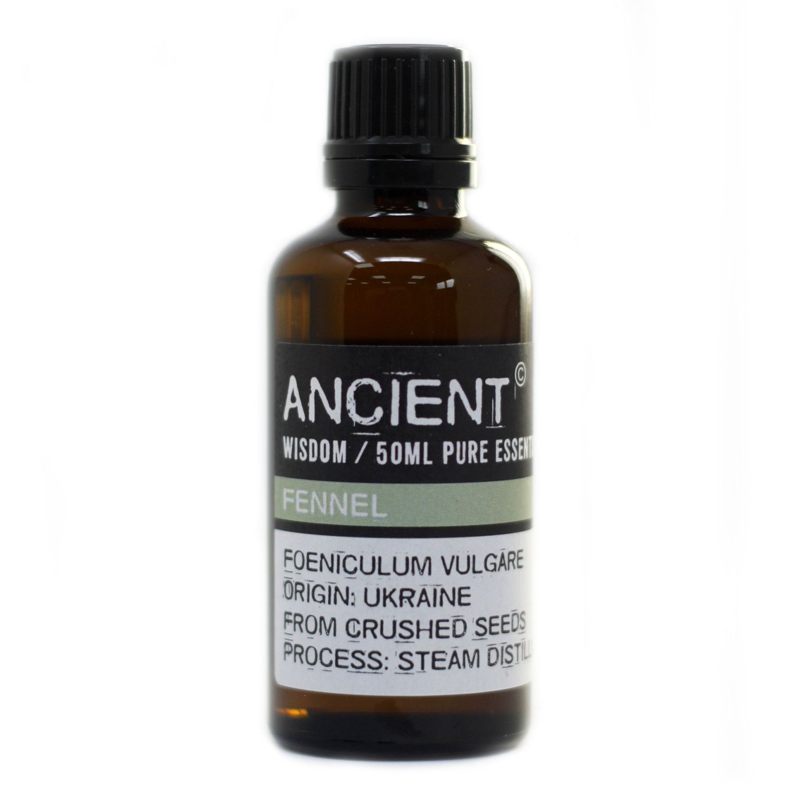 Fennel 50ml - Image 3
