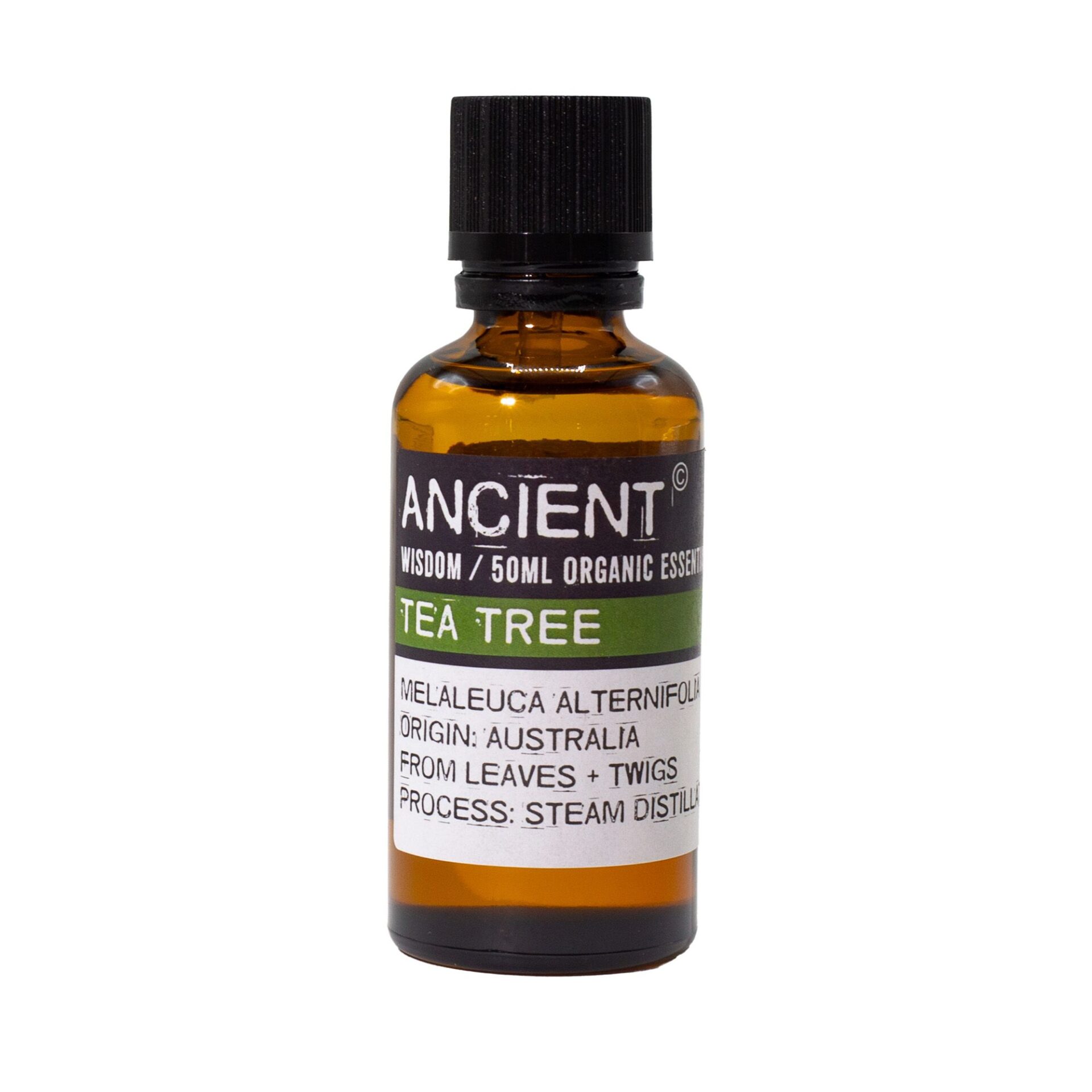 Tea Tree Organic Essential Oil 50ml - Image 2