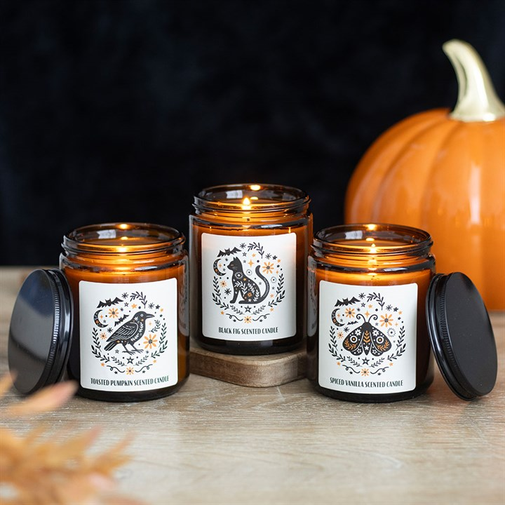 Frightful Folk Moth Spiced Vanilla Scented Candle - Image 5