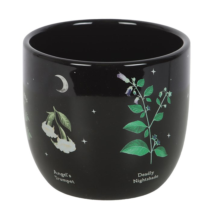 Poisonous Plants Plant Pot - Image 3