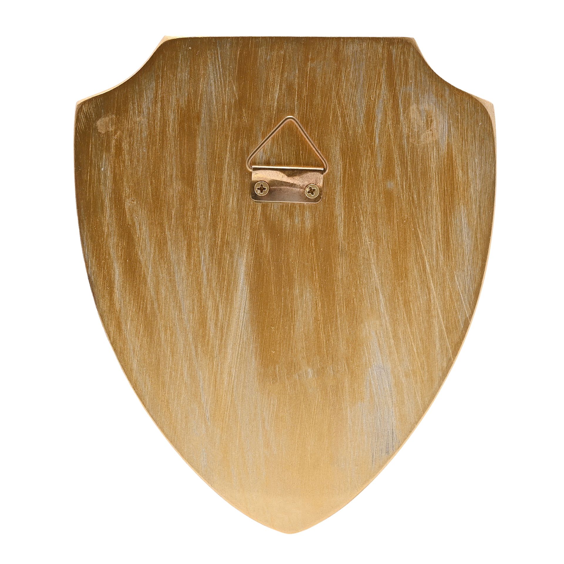 Harry Potter Alumni 3D Wall Art Hogwarts Crest Shield - Image 5