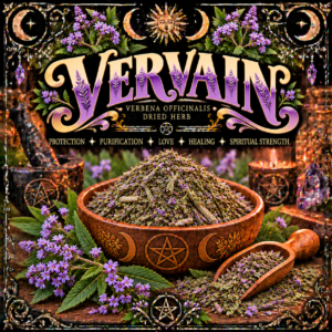 Illustration labelled Vervain, showing dried herbs in a bowl with purple flowers