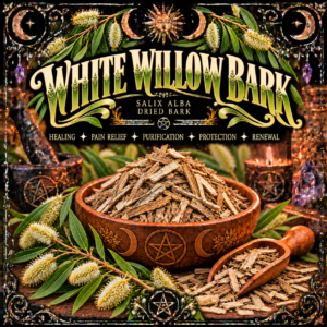 Illustration labelled White Willow Bark, showing dried bark pieces in a bowl and scoop