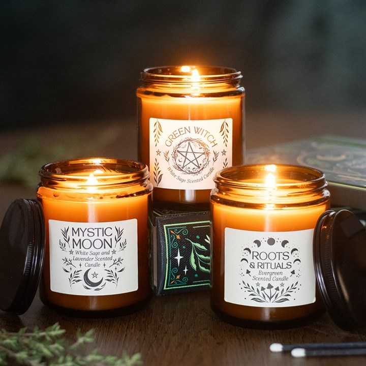 Roots & Rituals Evergreen Amber Glass Candle - Image 5